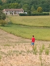 De l'espace, et balade autour du gîte