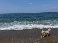 Mabou Mines beach