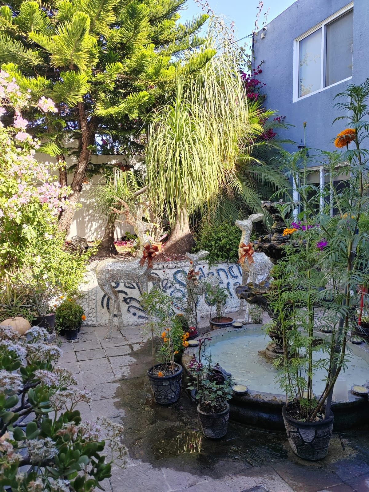 Hermoso recibimiento, a la entrada del lugar te recibe esta hermosa escena 