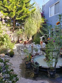 Hermoso recibimiento, a la entrada del lugar te recibe esta hermosa escena