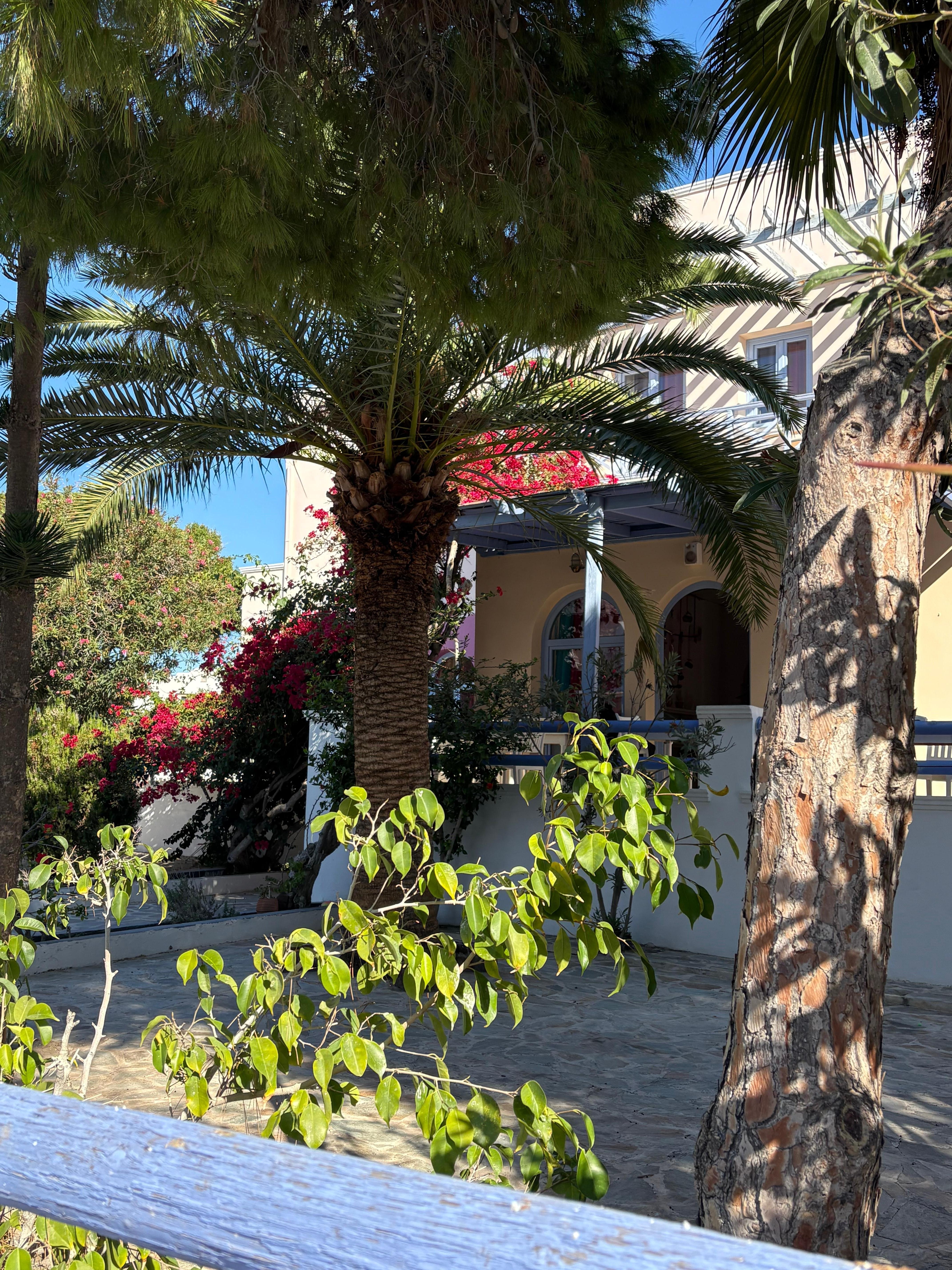 Terrasse für das Frühstück 