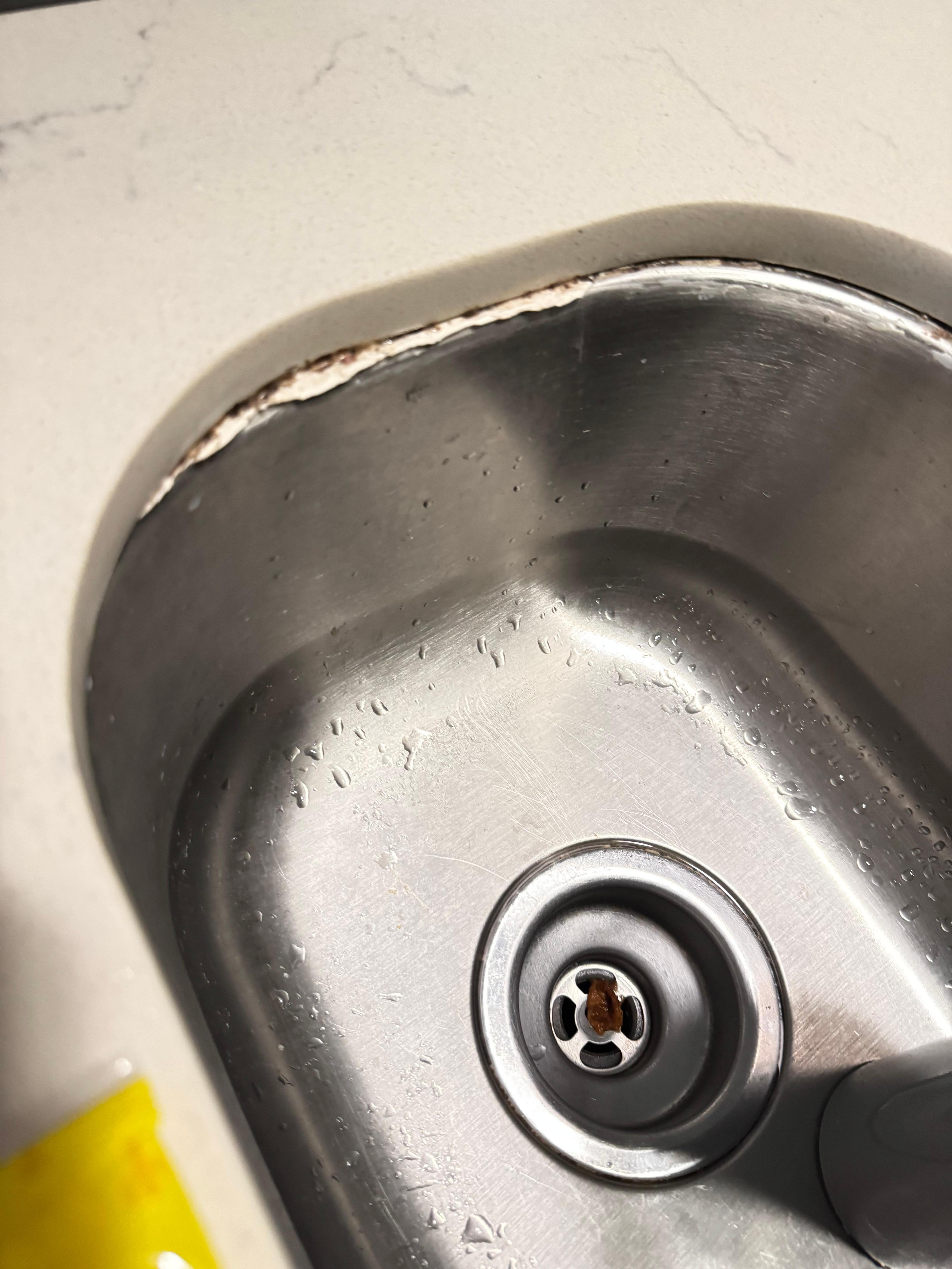 Mold