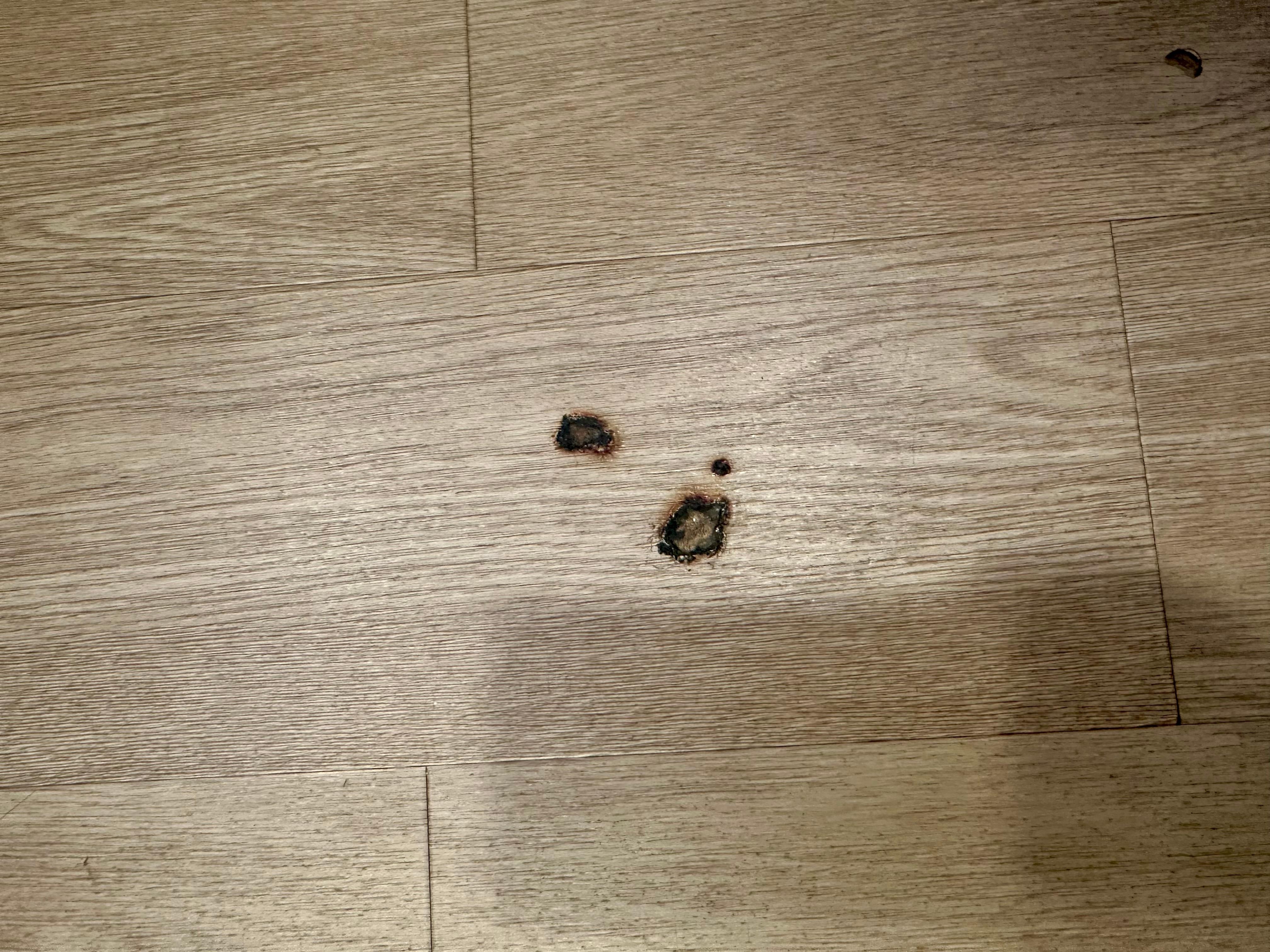 Burn holes in kitchen (there were more - just the couple we photographed 