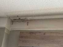 Newly renovated room