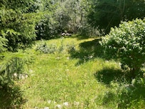 tuin