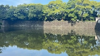 Imperial Palace