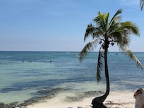 Akumal public beach - 20 minutes to the north