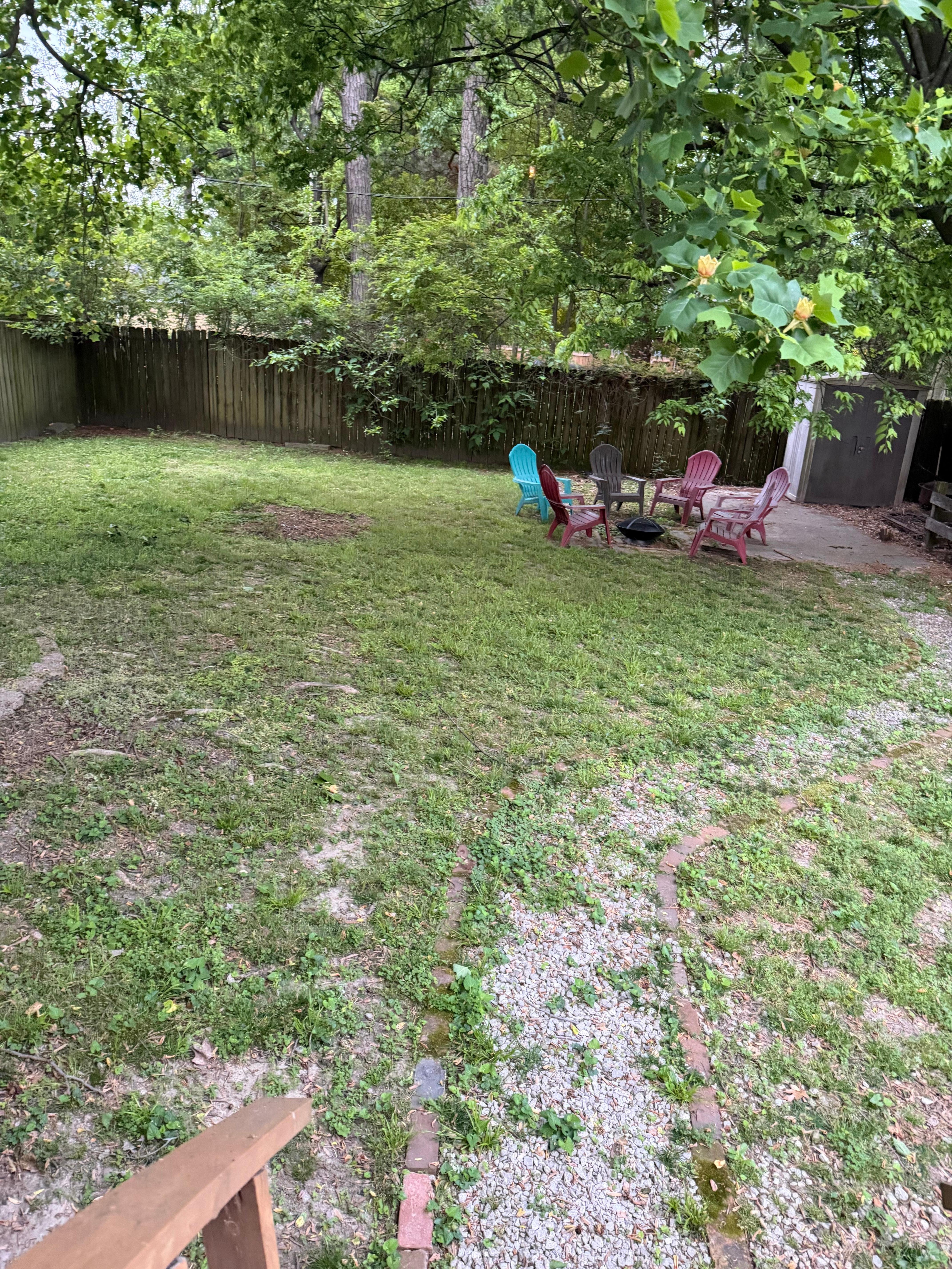 Background where a family of possums live.