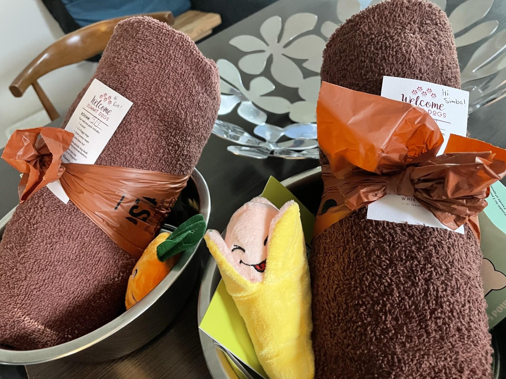 Thoughtful gifts for the dog. 