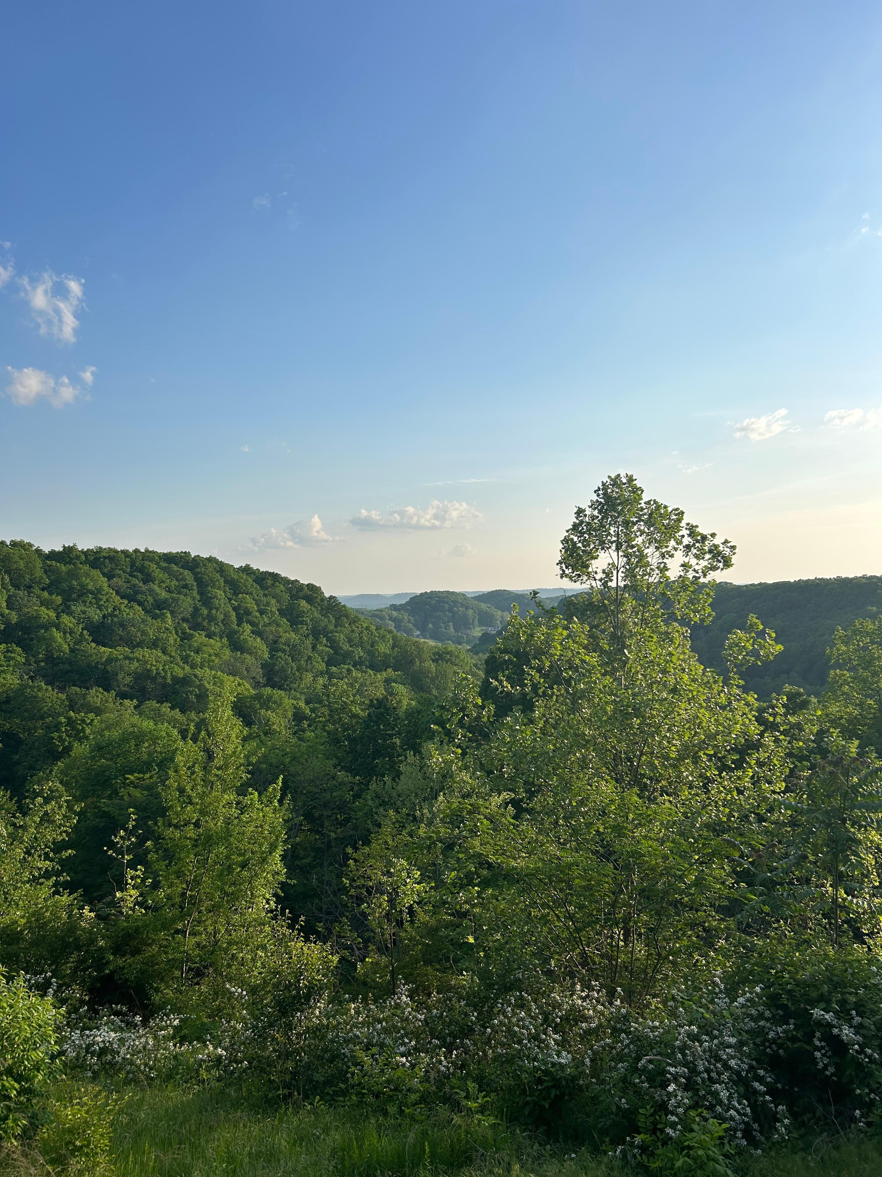 Beautiful countryside