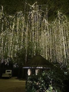Lighted path to restaurants
