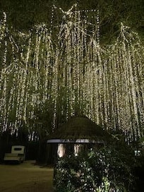 Lighted path to restaurants