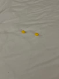 Food under comforter