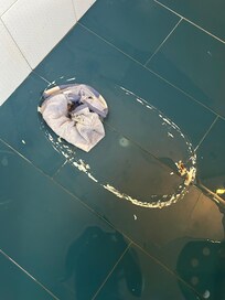 Toilet removed and left for days