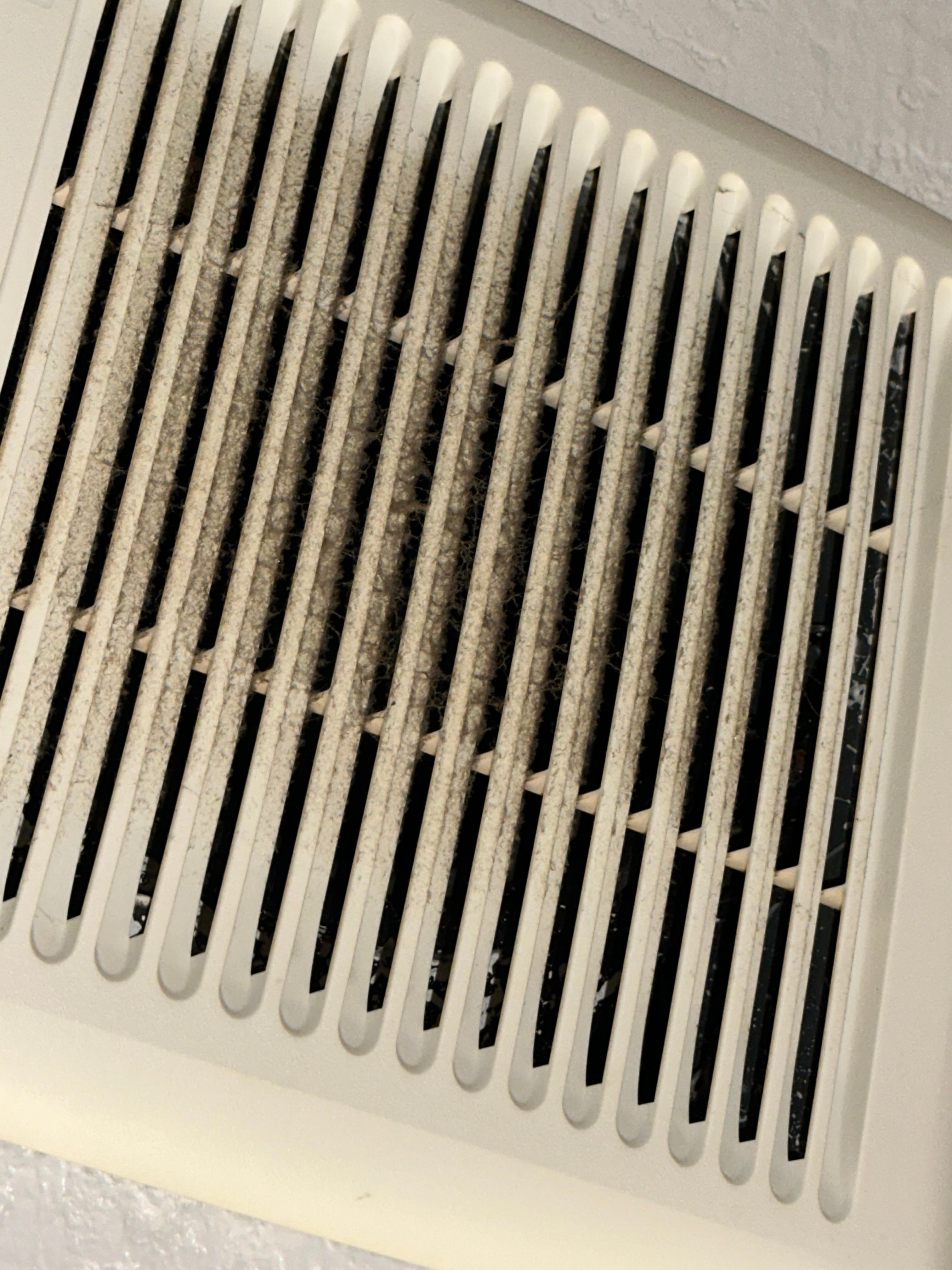 Disgusting vent