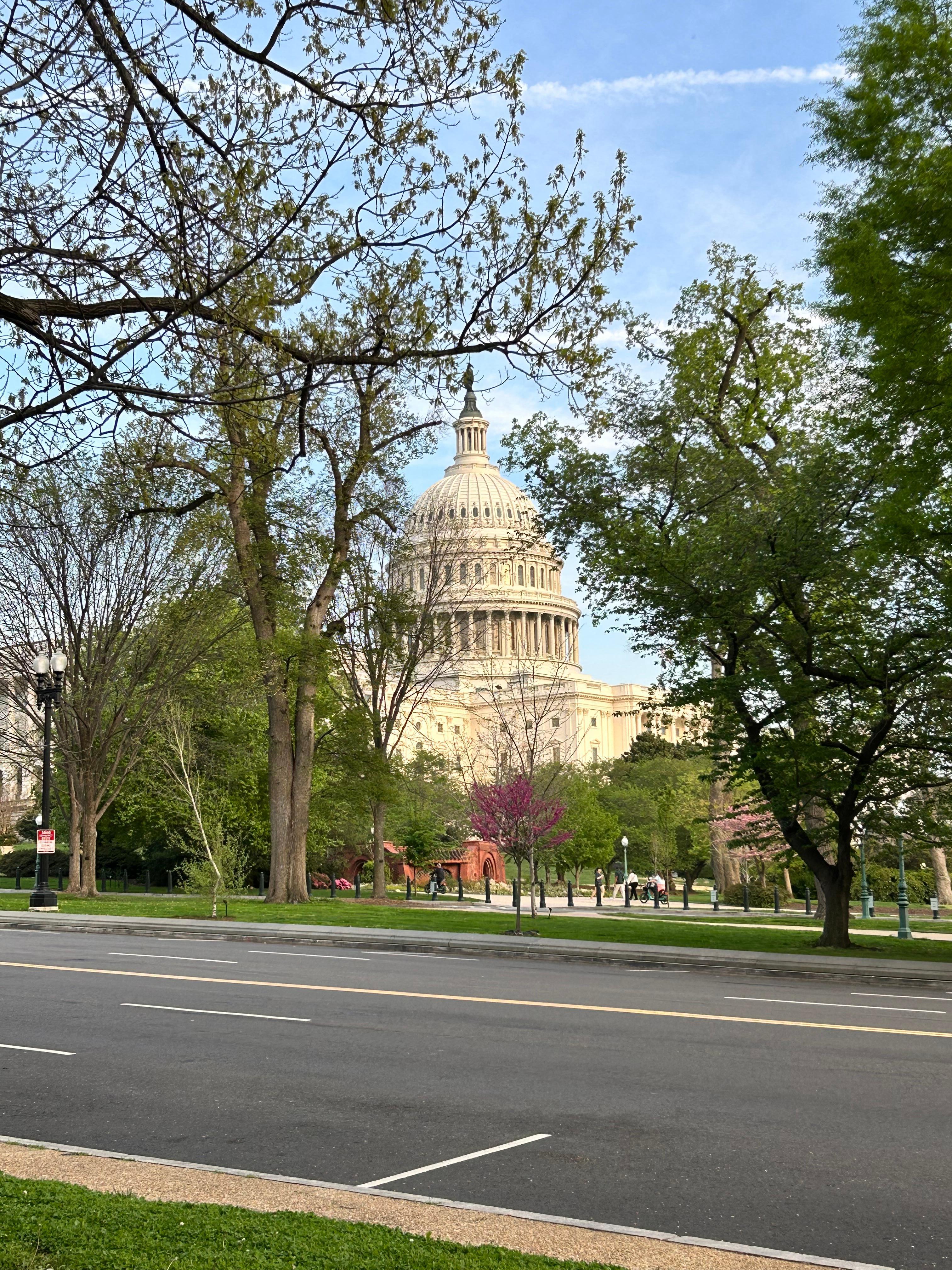 Walking distance to the Capital 