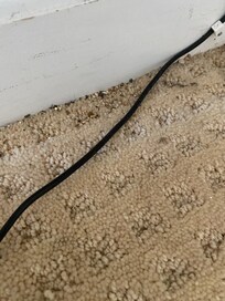 The place was not clean. This is the carpet