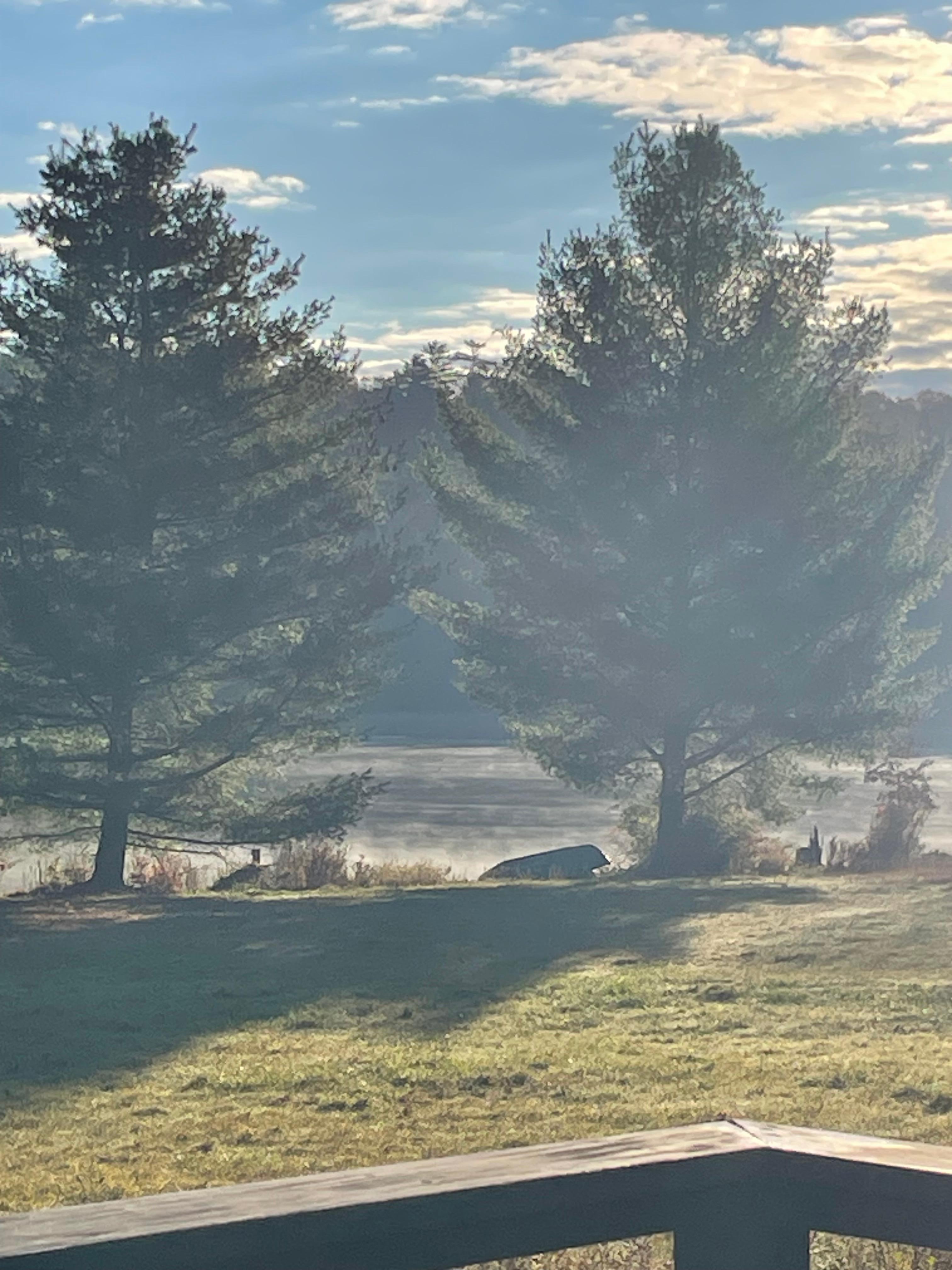 Morning mist on the lake