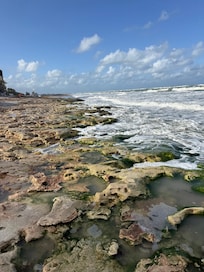 This section of the beach has tide pools. We enjoyed walking along the beach at all phases for shell hunting and found some beauties.