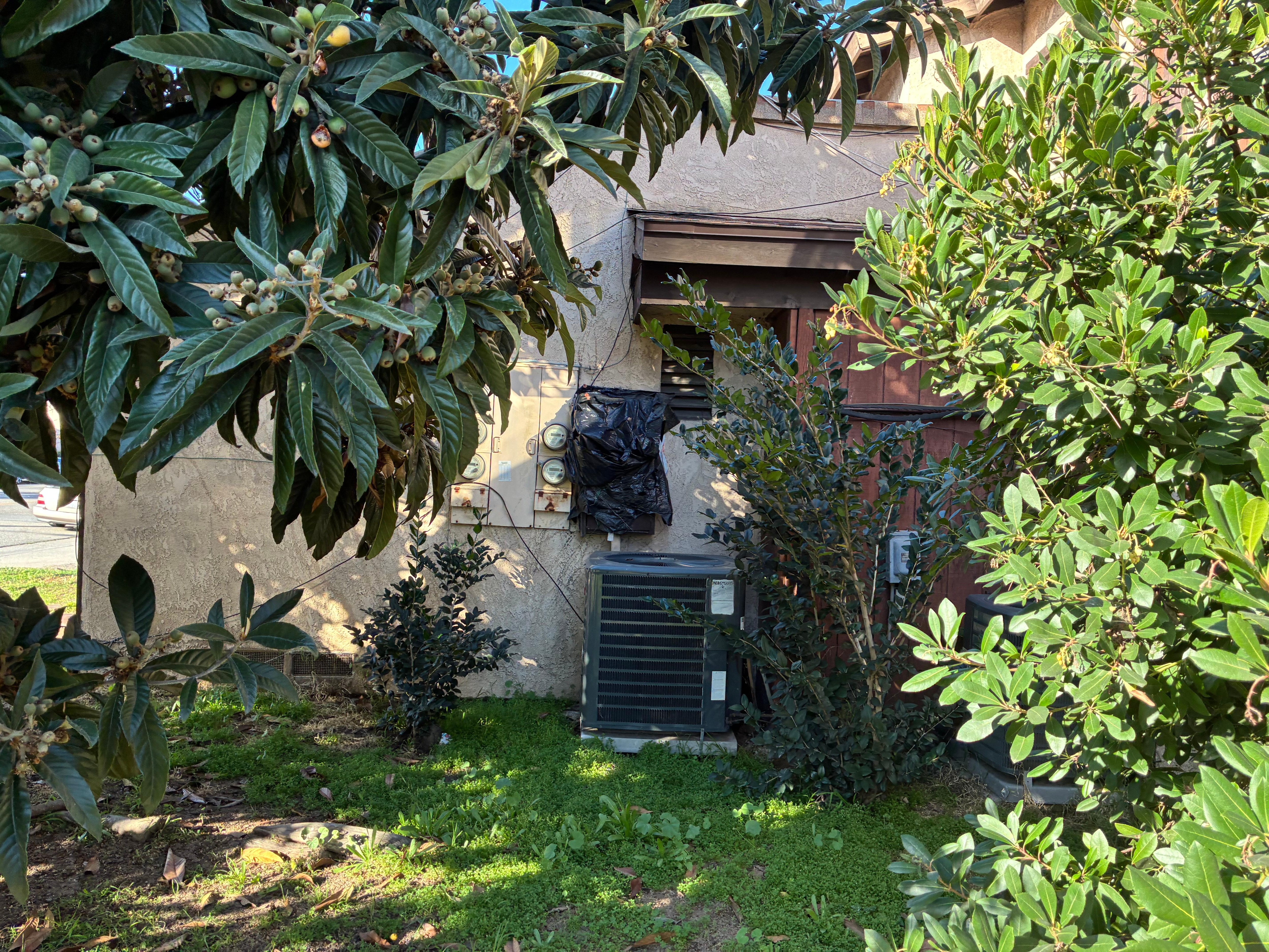 There was a garbage bag over the meter