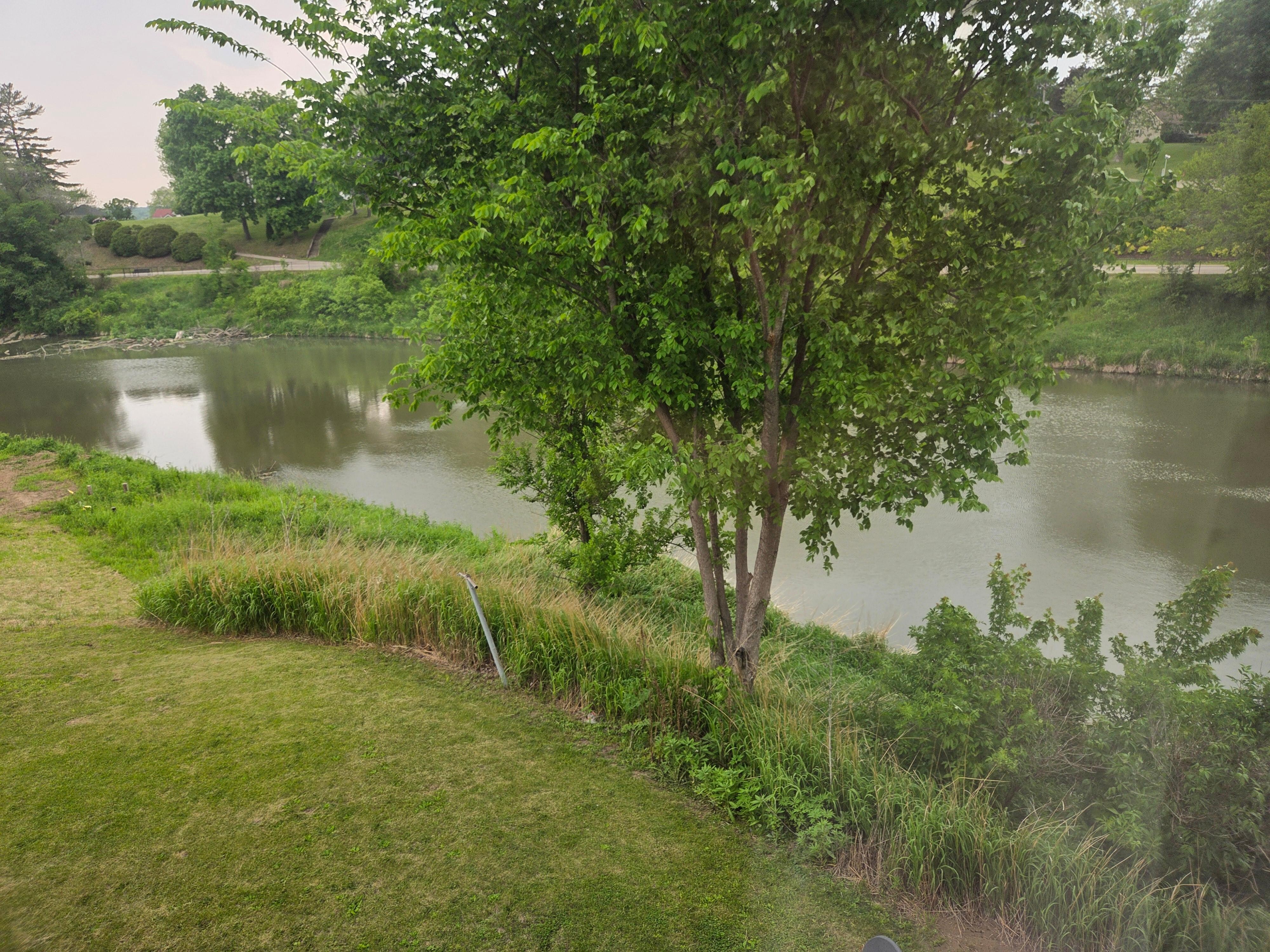 The view from the living room... the sound of the dam and the surrounding nature was so soothing. 