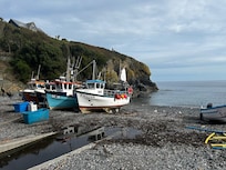 Cove
