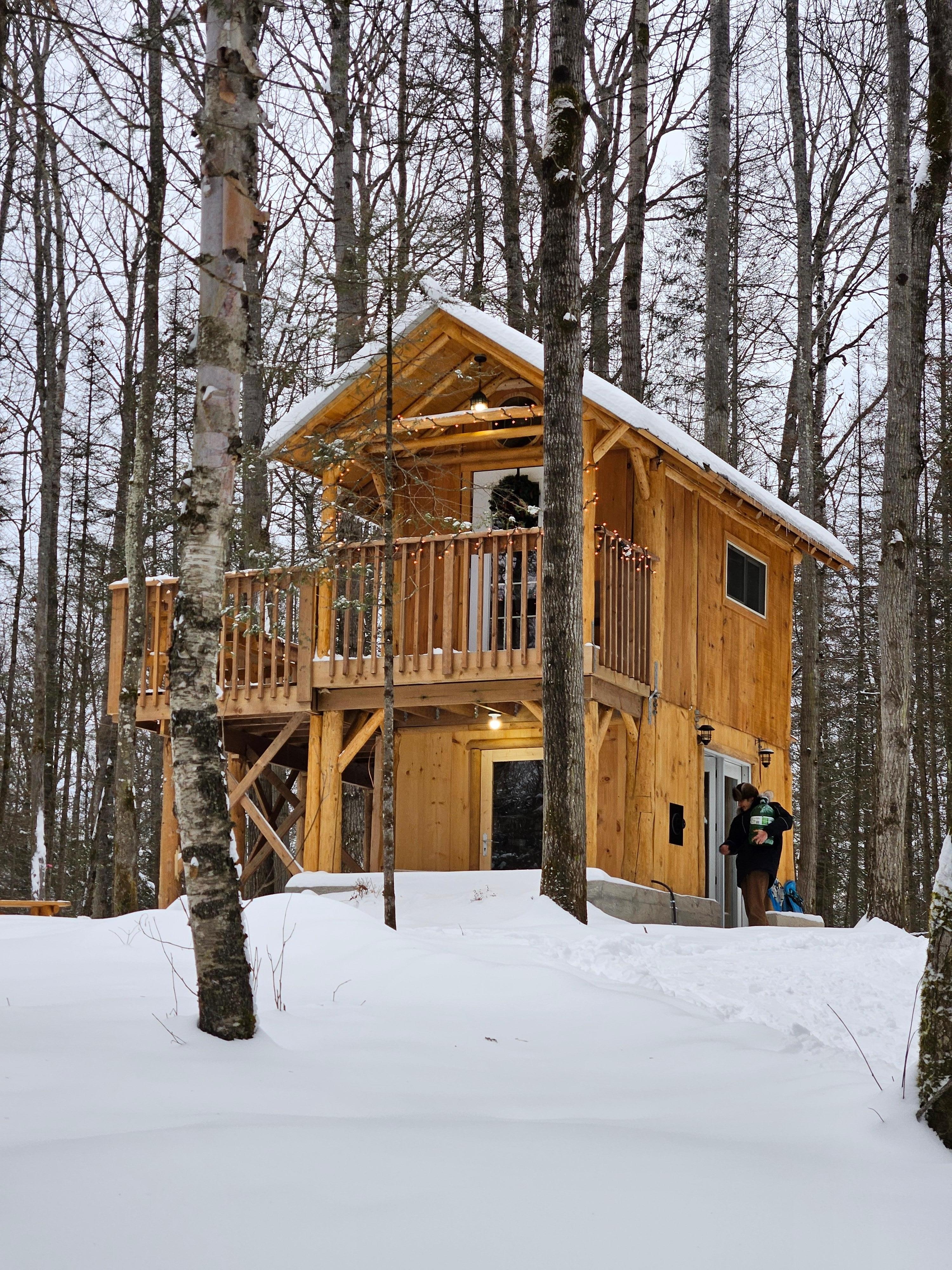 Front of the treehouse 