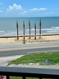View from the balcony with the new palm trees.
