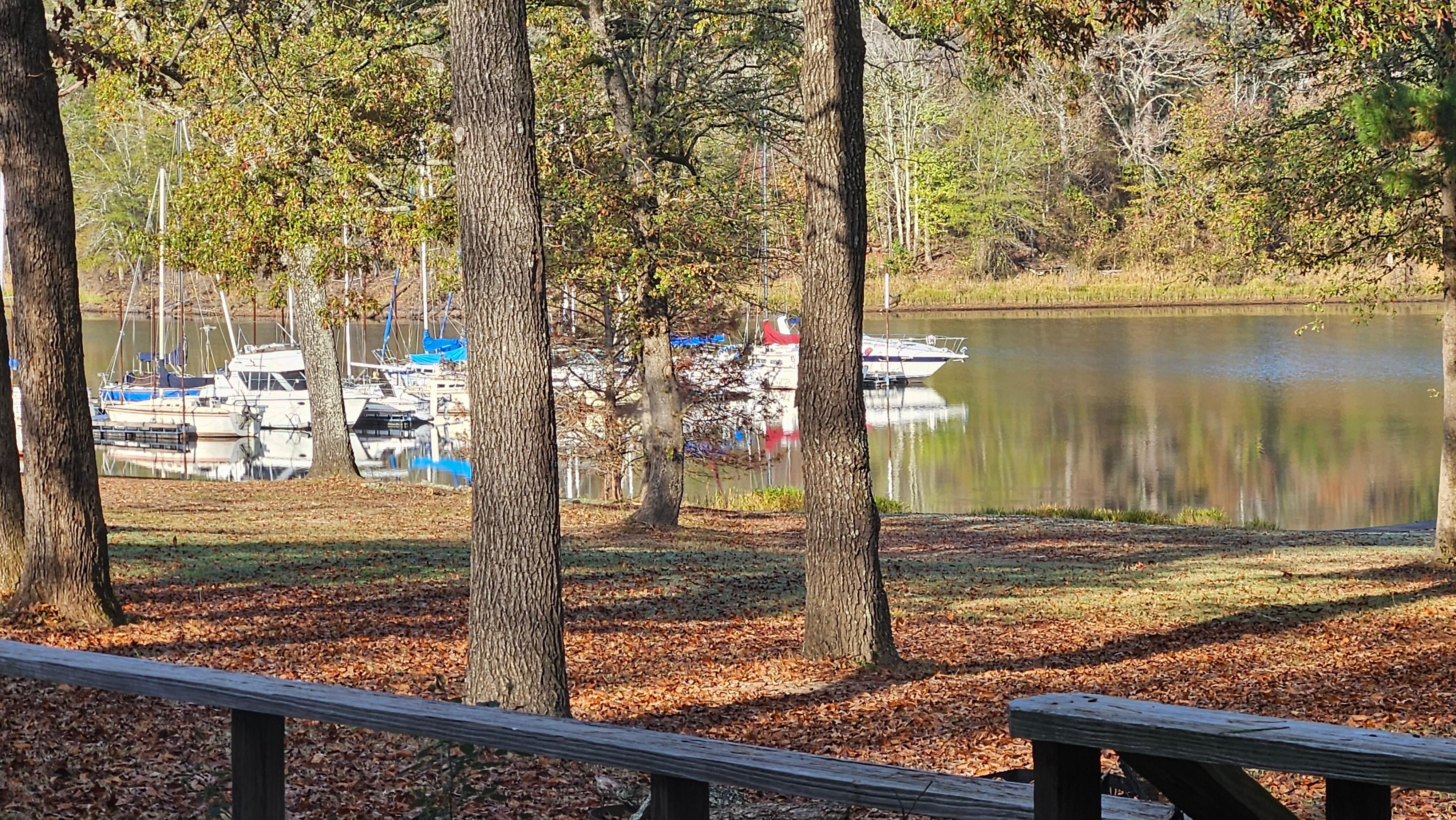 View off the back porch.