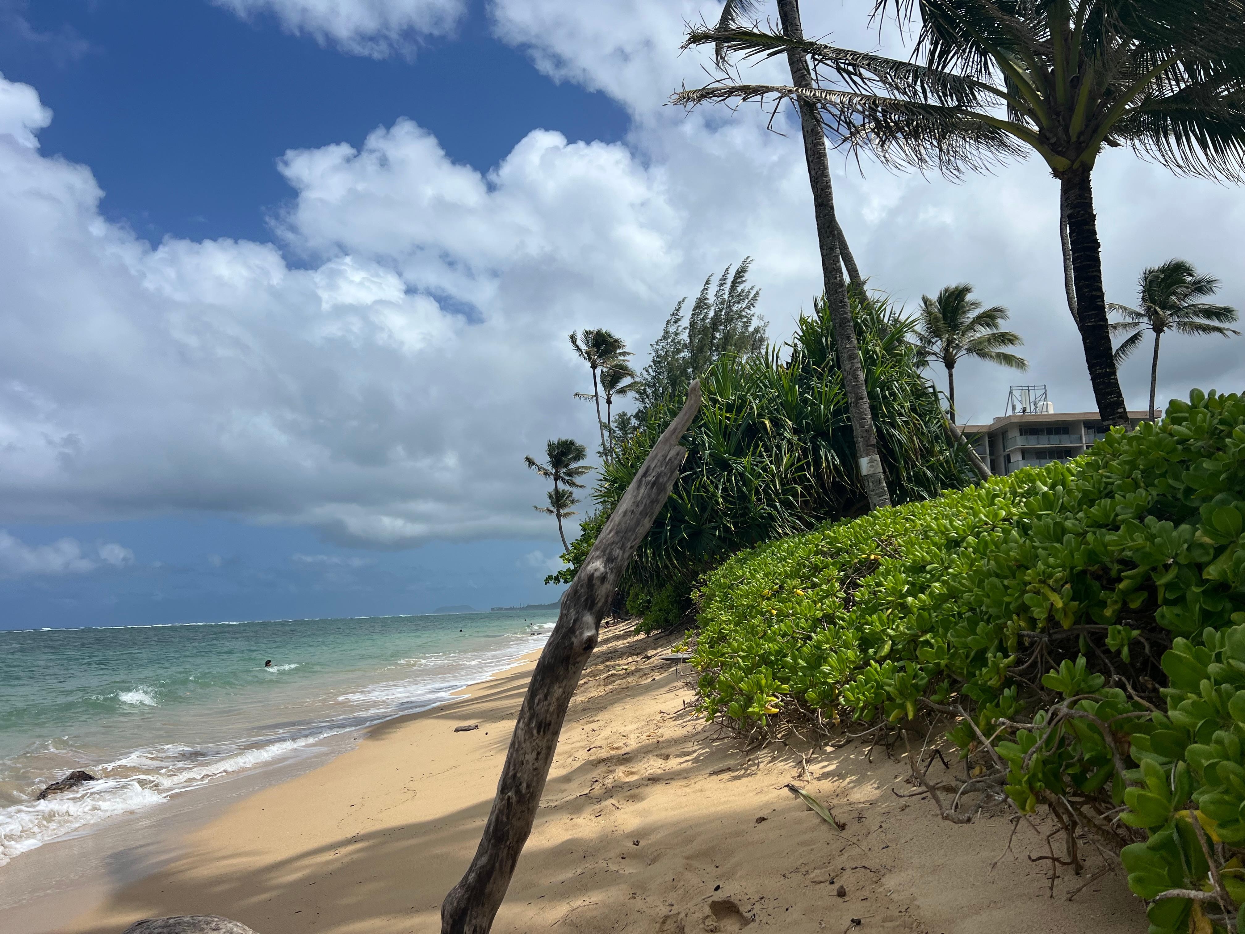 Part of beach