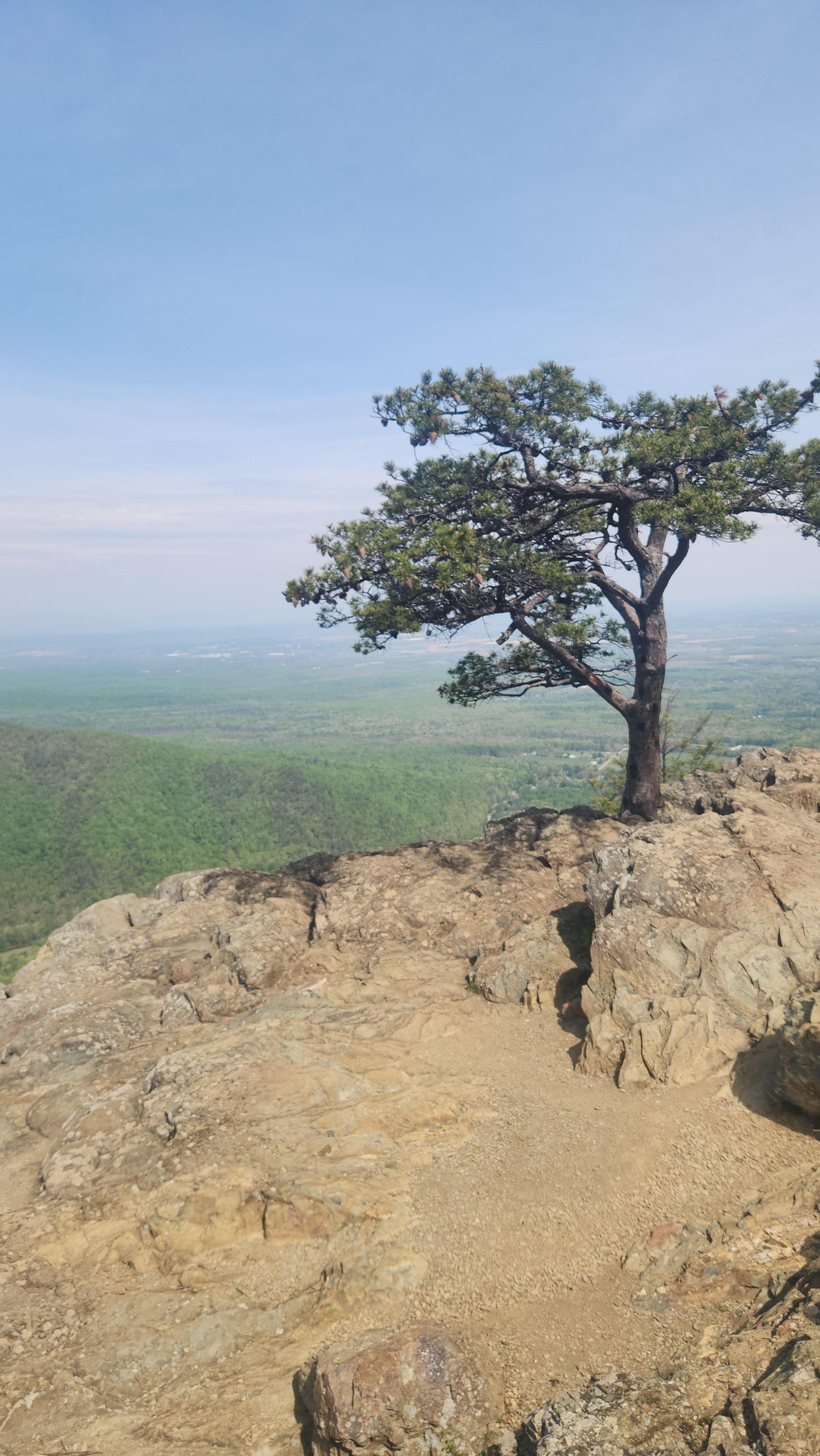Raven's Roost lookout