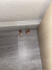 Popcorn that was left behind the nightstand