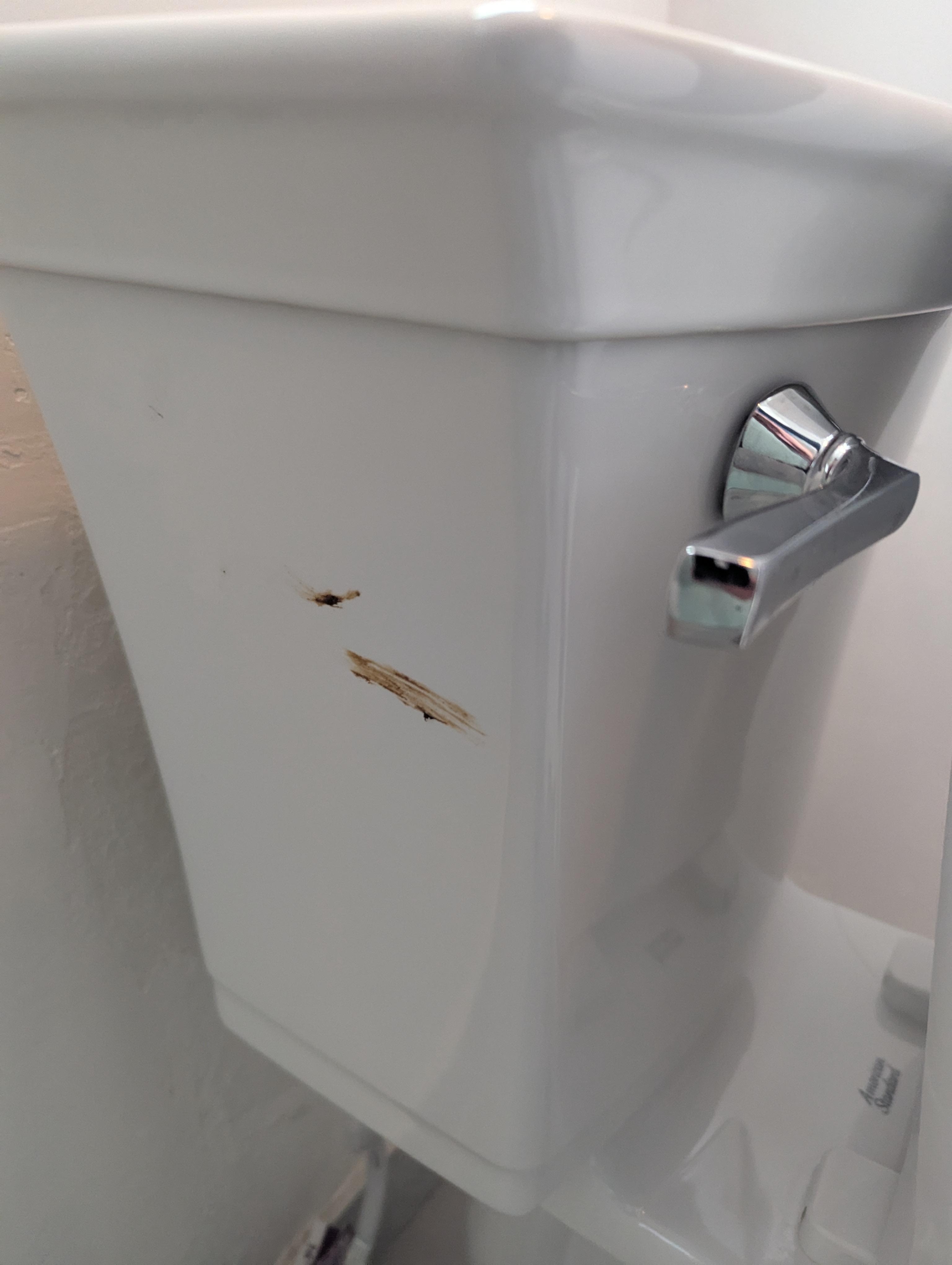 Nice cleaning job.
