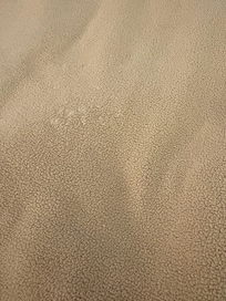 Nasty white crusty splotch on extra blanket provided bc building had not heat.