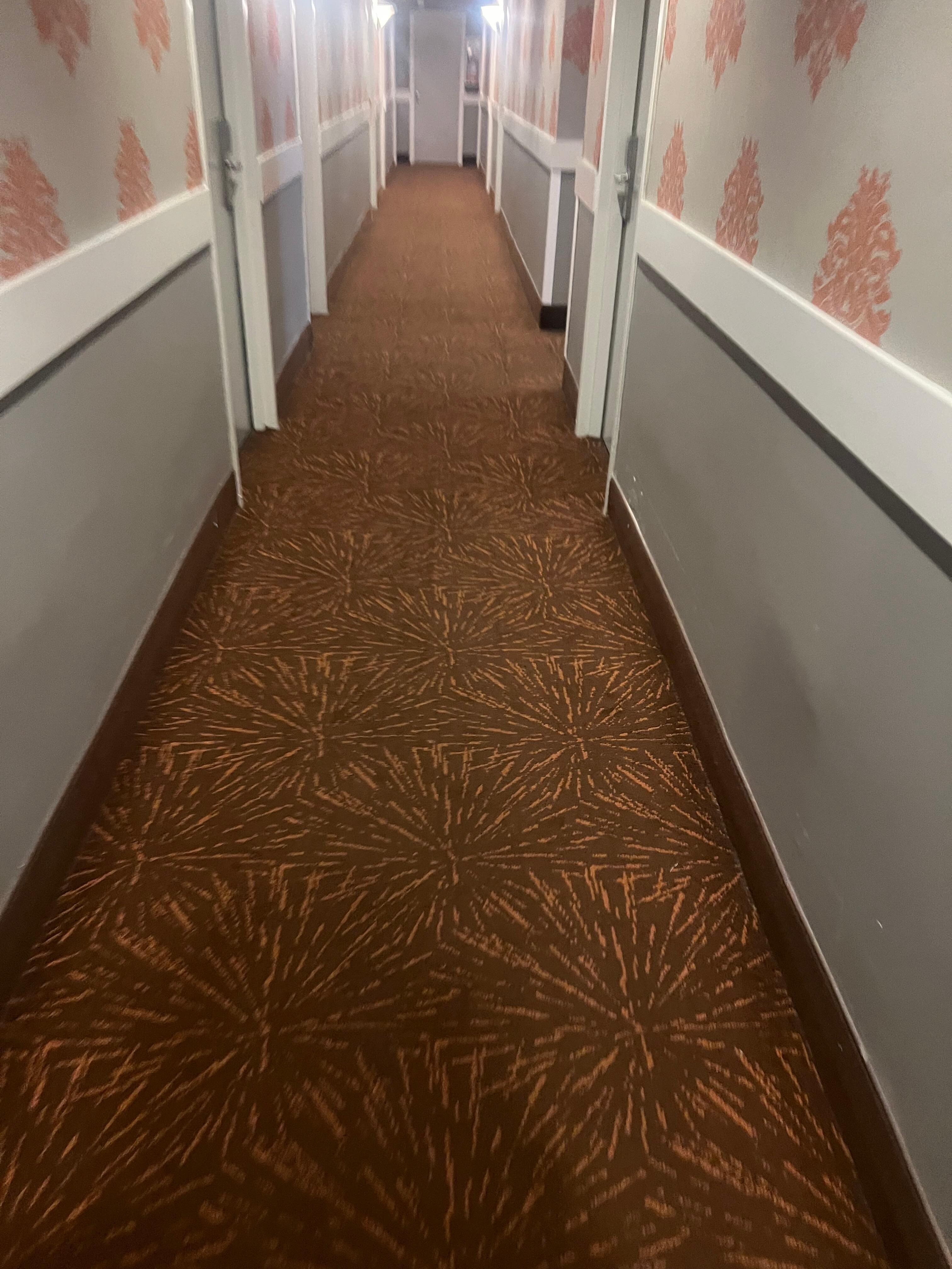 Old and dirty carpet throughout the building 