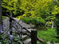 Swinging bench