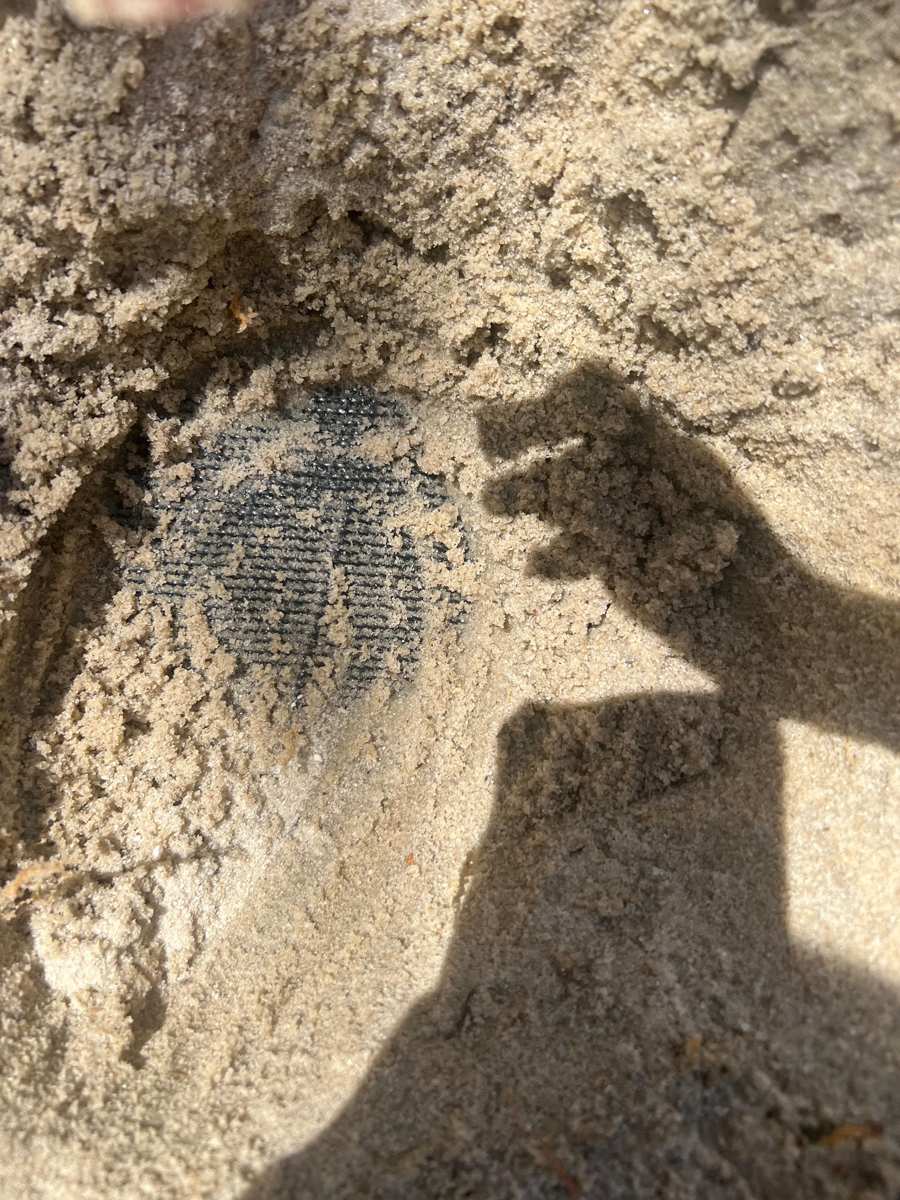 Fun at  Coligny beach