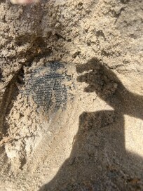 Fun at Coligny beach