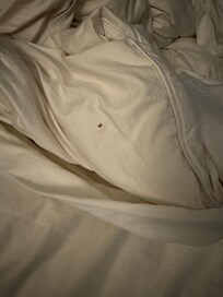 Blood on the comforter