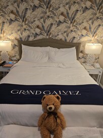 The Room (bear is mine :)), very minimal but still nice for resting and stayed quiet. The closet had a life-saving steamer. Room came with a book of the hotel's history which was an interesting read on sleepless nights