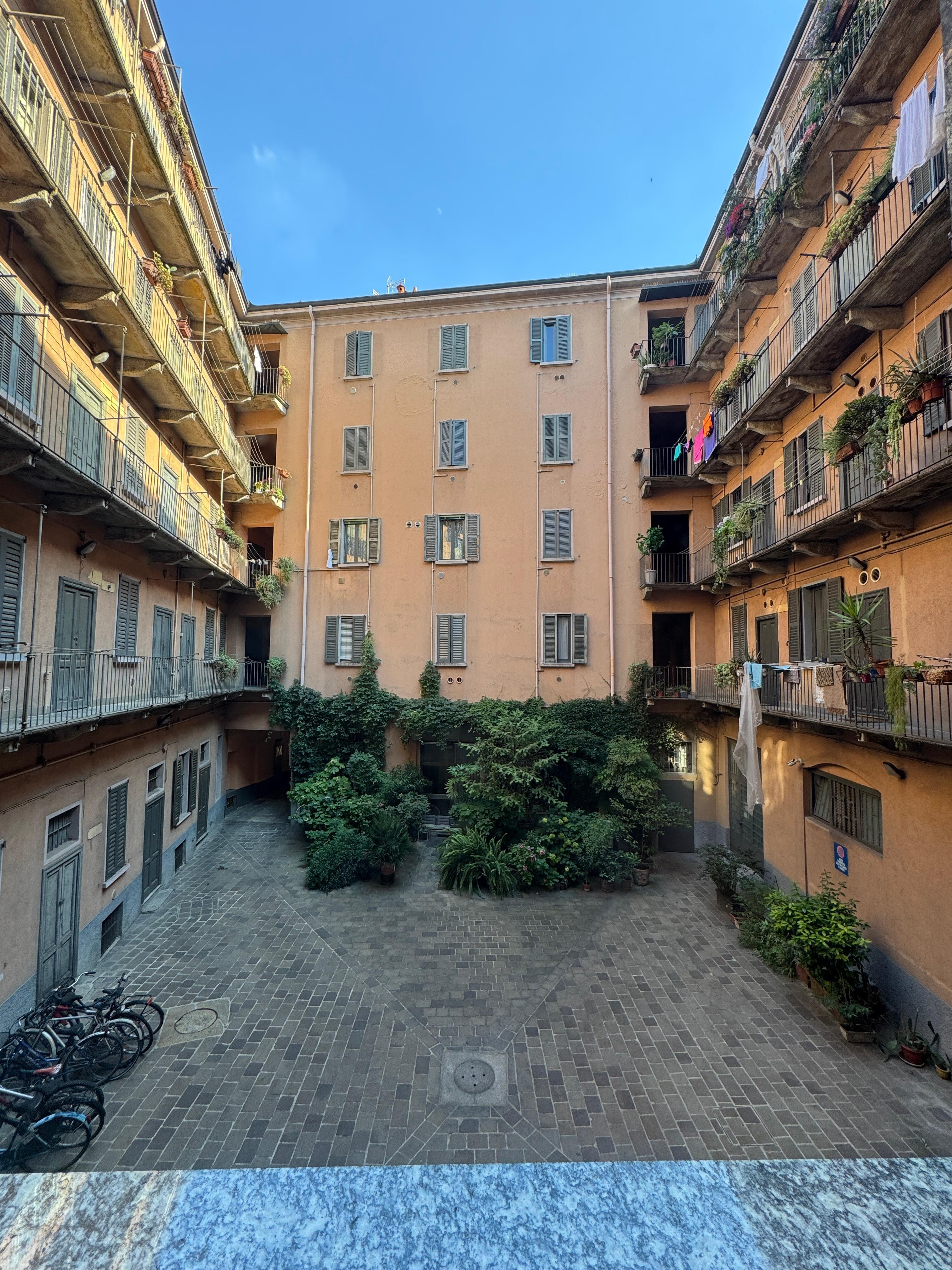 Courtyard out my window