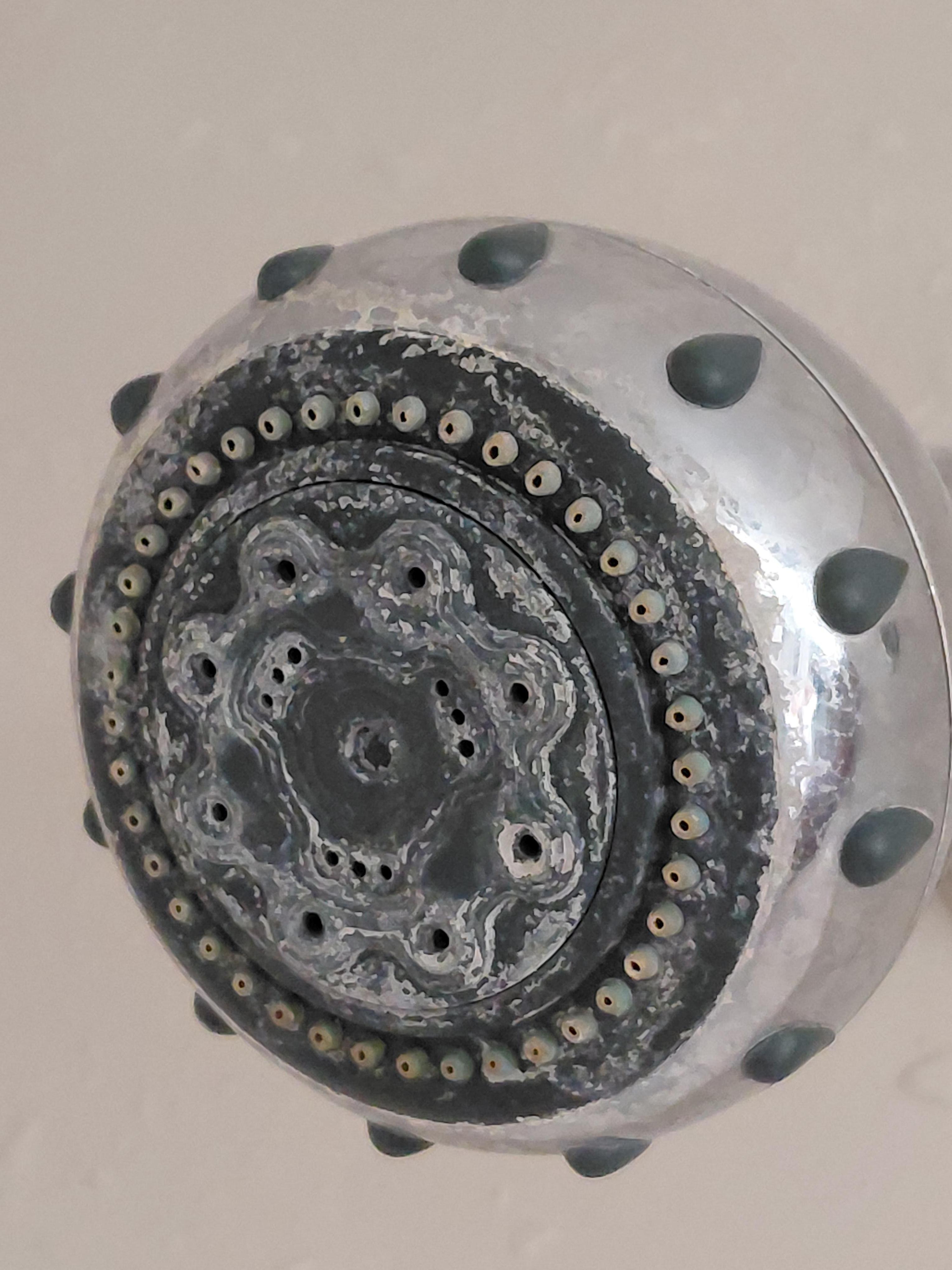 Scaley shower head.