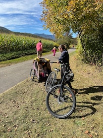 Used discount to rent bikes and buggy