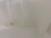 Mold in shower curtain (this is after chunks had been washed off)