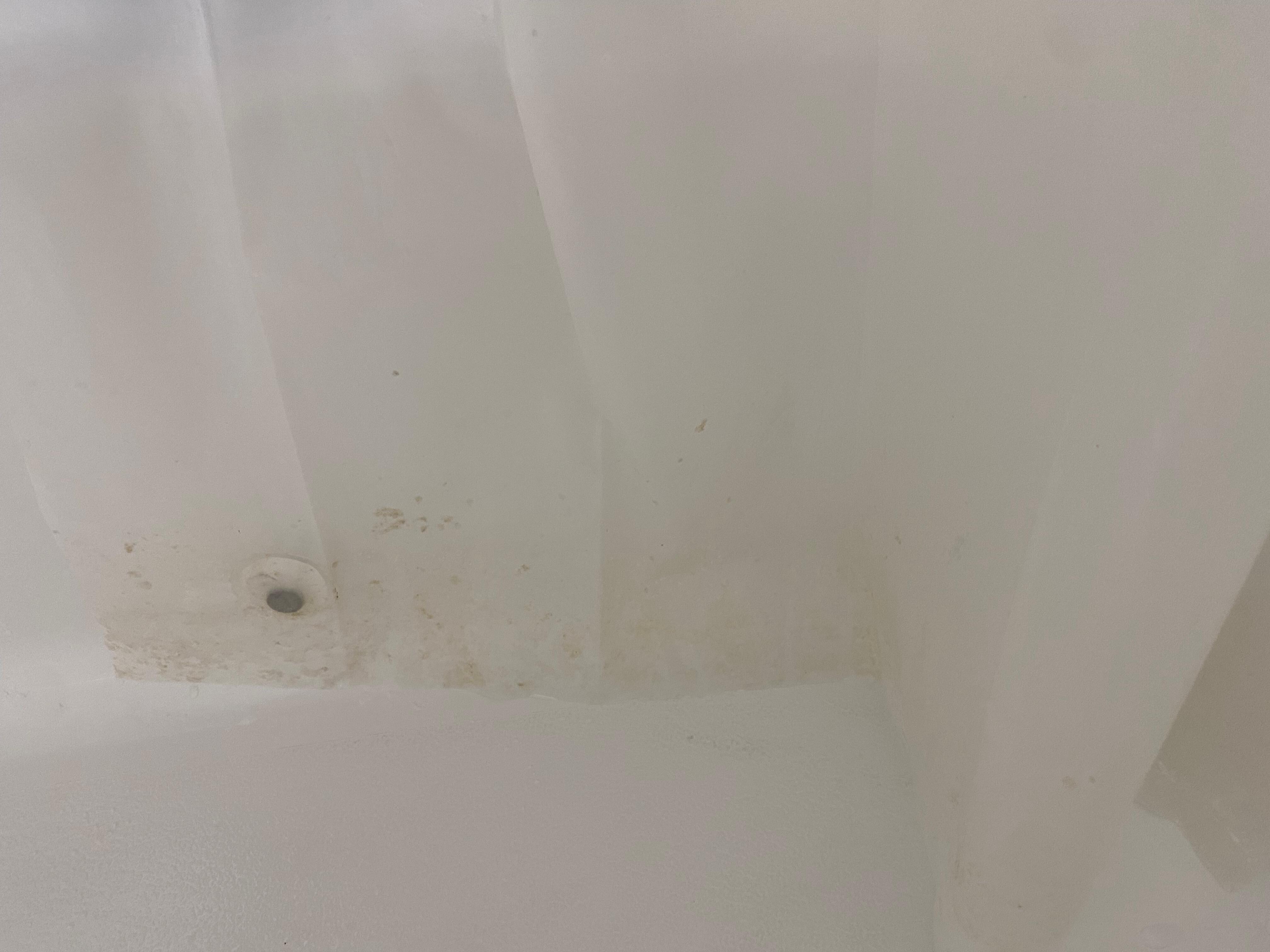 Mold in shower curtain (this is after chunks had been washed off)