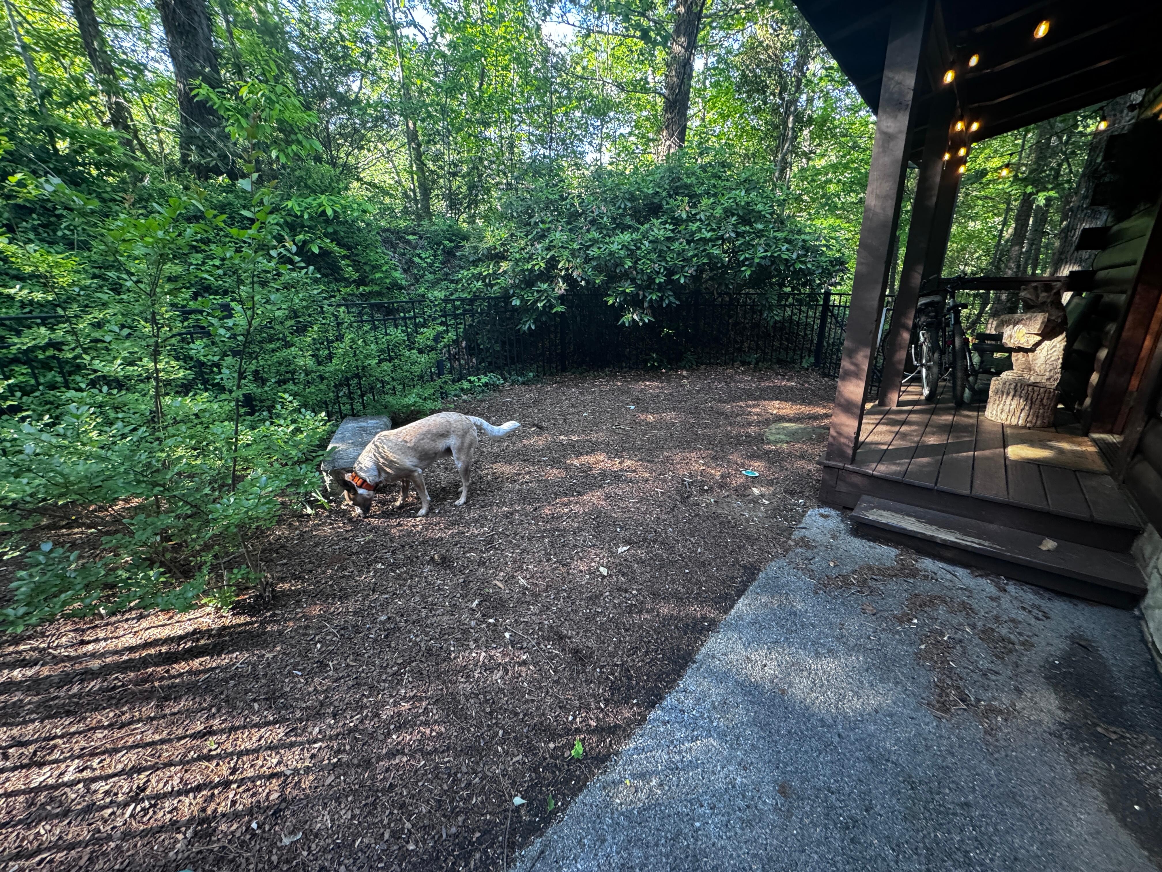 Enclosed yard