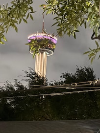 View of the Hemisfair from the front porch