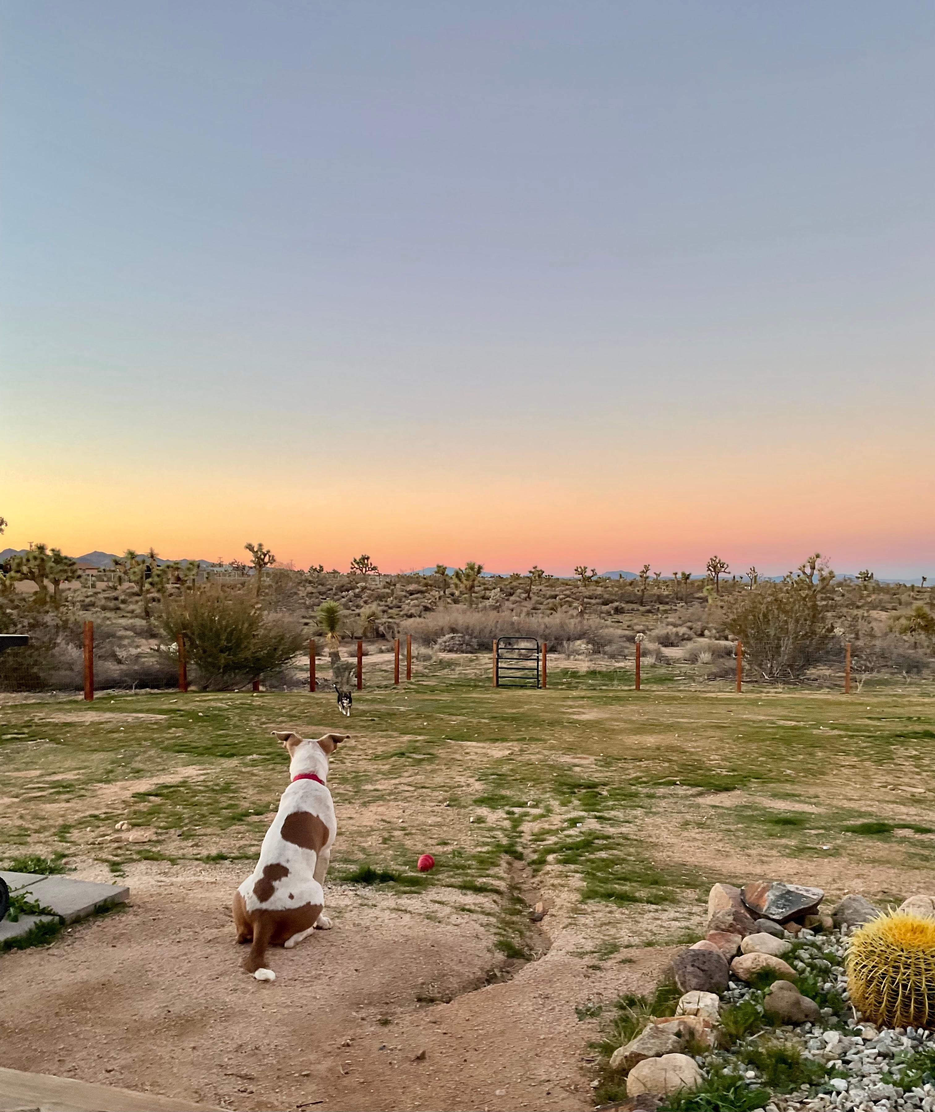 Great gated almost 2 acre property.