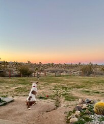 Great gated almost 2 acre property.