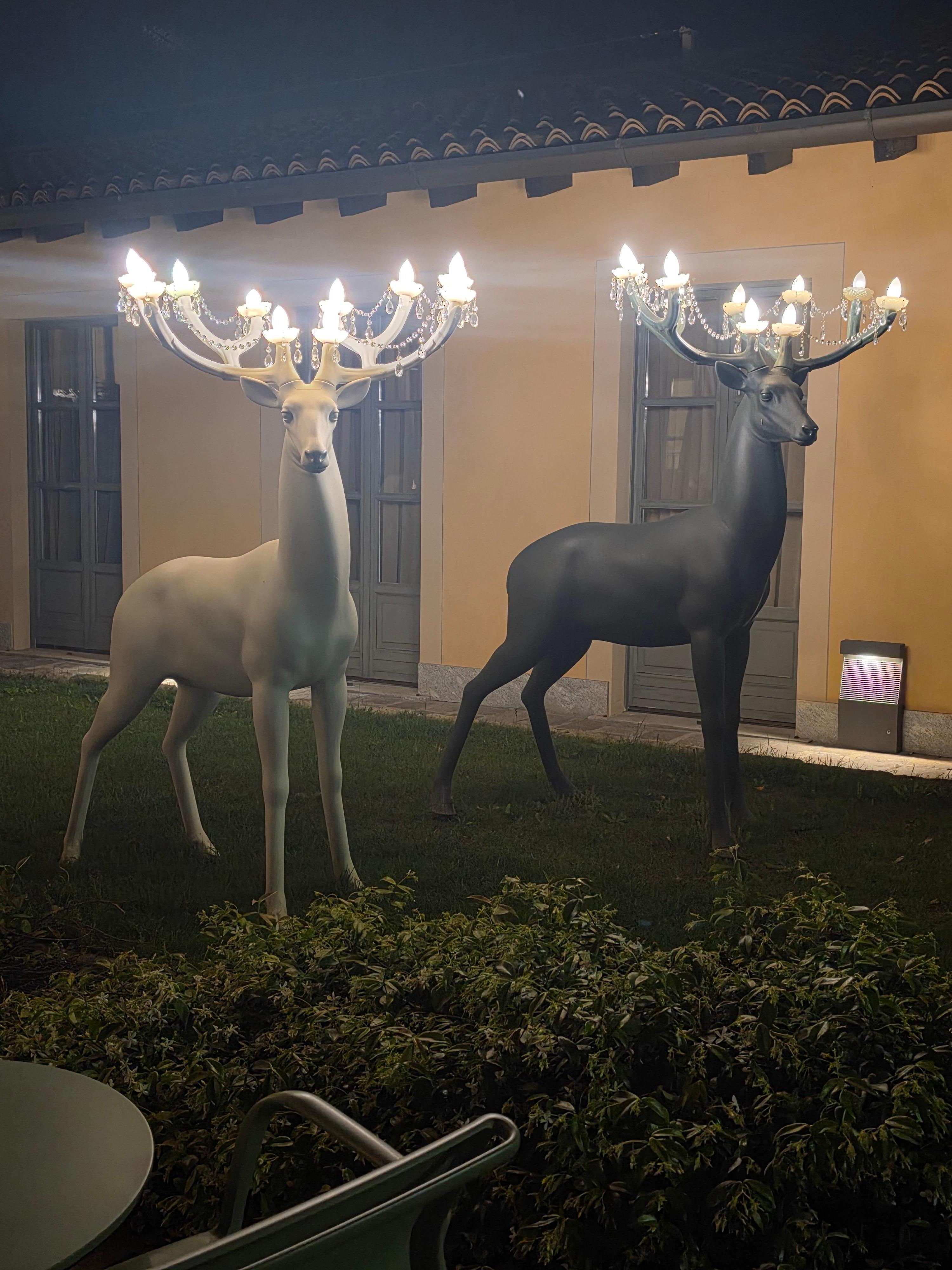 External lighting was beautiful 